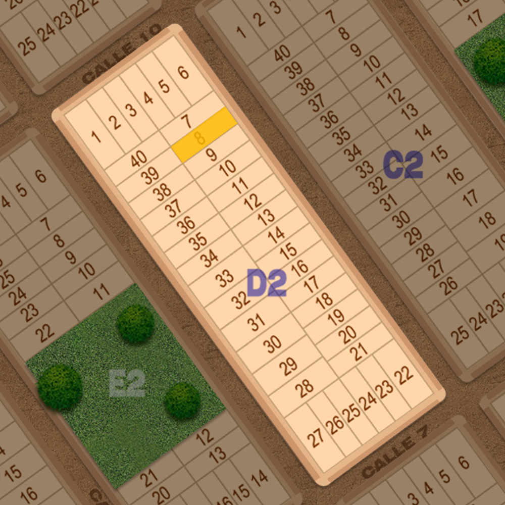 D2-8