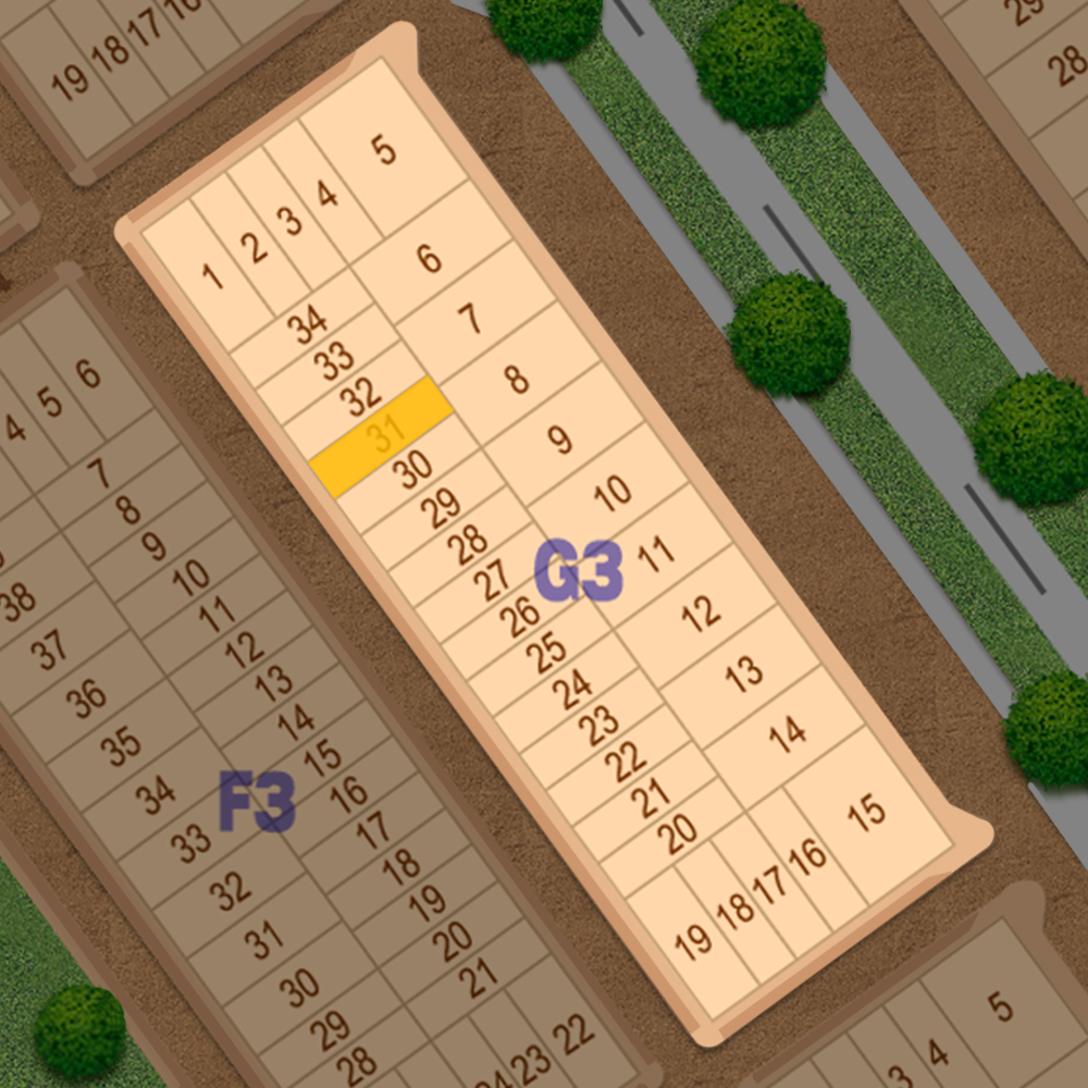 G3-31