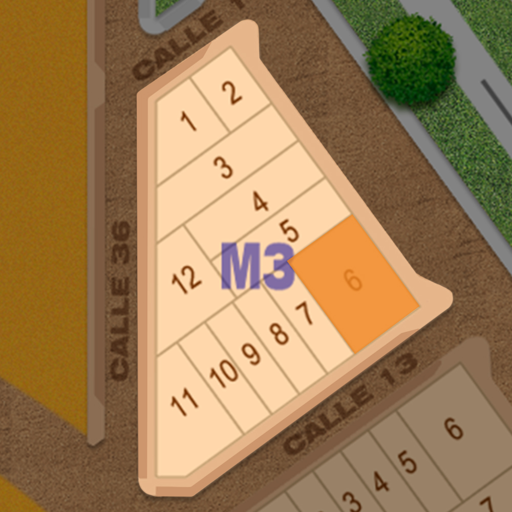 M3-6